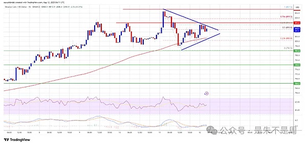狗狗币再现过山车行情：16%暴涨后的横盘隐忧