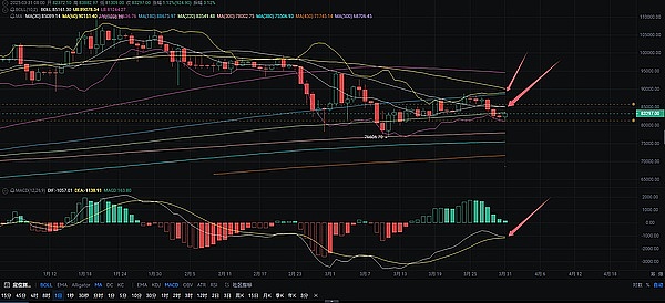 加密货币黑色九月来袭：BTC面临生死考验，这些币种或成避风港