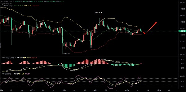 大资金动向揭示：三大潜力币种正获机构青睐