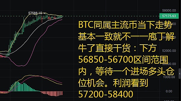 当比特币披上BRC20外衣：狂欢背后的理性思考